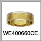 we400660ce