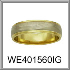 we401560ig